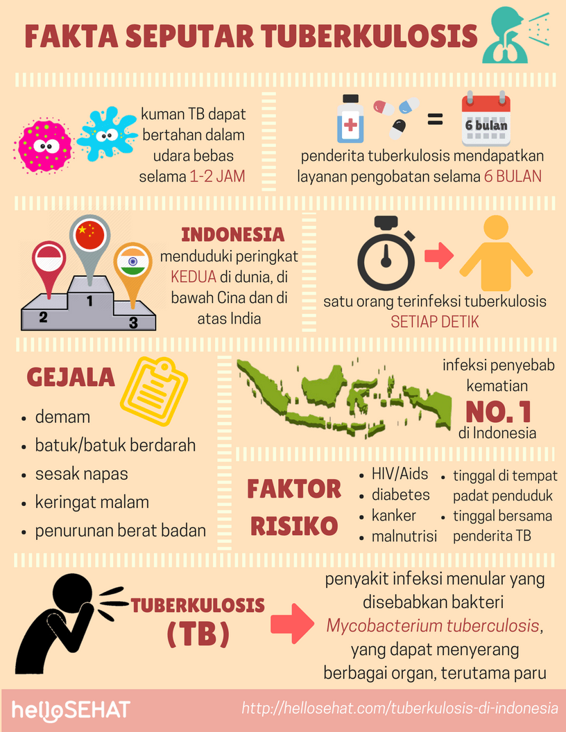 Tuberkulose Tuberkulose in Indonesien