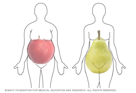 Körperform von Äpfeln und Birnen