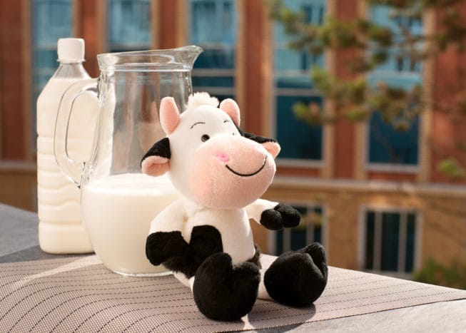 Pasteurisierte Milch, gut oder schlecht für die Gesundheit?