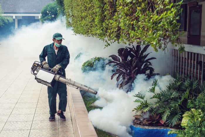 Vernebelung von Gas bei Dengue-Mücken