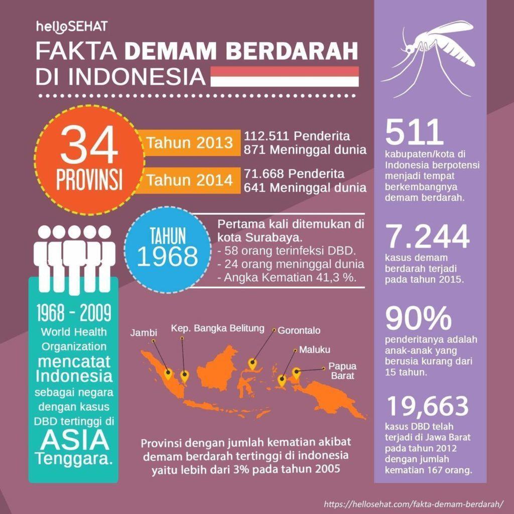 Dengue-Fieber hellosehat in Indonesien
