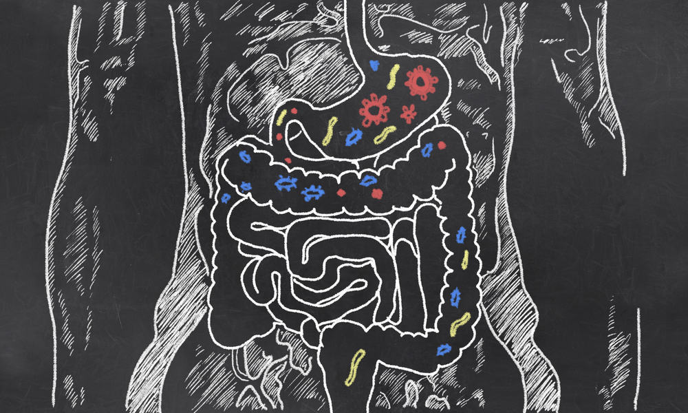 Ernährungsgewohnheiten basierend auf Bakterien im Darm