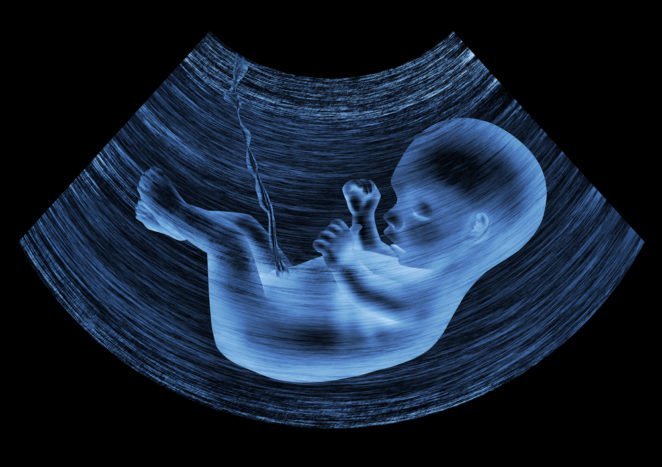 fötale Entwicklung im Mutterleib