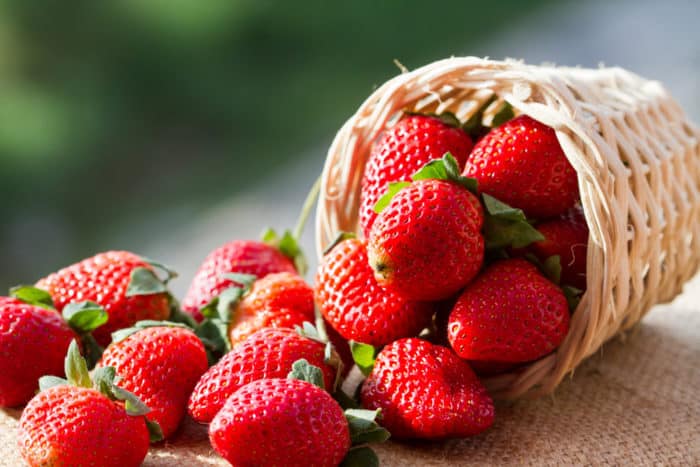 die Vorteile von Erdbeerfrüchten